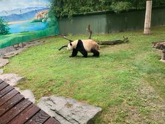 -野生动物园-停车场