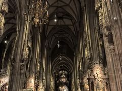 -斯蒂芬主教座堂(Stephansdom)