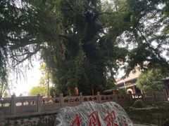-大槐树寻根祭祖园