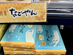 -中部国际机场