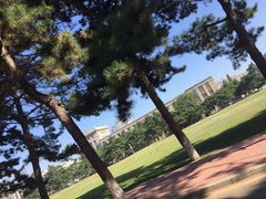 -东北大学(南湖校区)