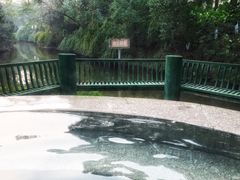 -鱼凫国都大酒店温泉