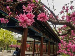 -莲花池公园