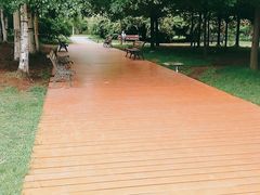 -长春公园(普阳街道)