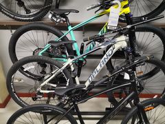 -道路口单车爱瓦士dahon大行