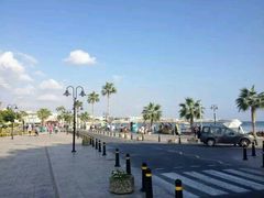 android_upload_pic-上海美帆帆船露营基地