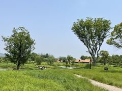 -良渚古城遗址公园