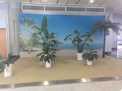 -威海大水泊国际机场