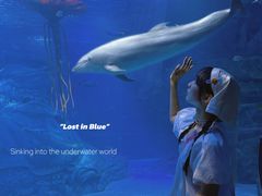 -沈阳海洋探索中心