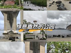 -中澳友谊花园