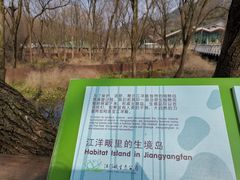 -西湖风景区-江洋畈生态公园