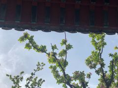 -保定直隶总督署博物馆