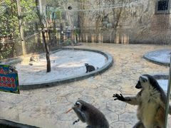 -广州融创文旅城