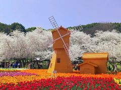 -苏州上方山国家森林公园