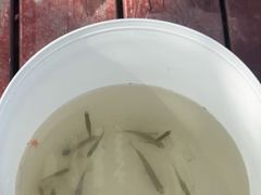 -上海浦江郊野公园-5号停车场