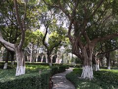 -十九路军淞沪抗日阵亡将士陵园