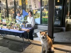 -雅达·阳羡溪山小镇中心