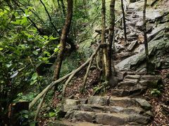 -梧桐山风景名胜区