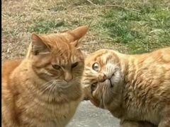 -萨莉亚意式餐厅(南京环亚凯瑟琳广场店)