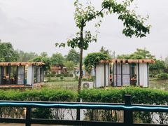 -洪湖家庭农场·团建·露营·会议