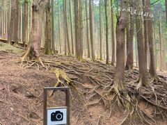 -庐山风景区花径公园