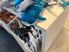 -大阪海游馆