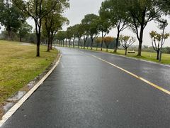 -漕湖湿地公园
