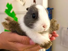 -大象厨房(重庆道店)