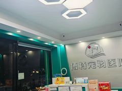 -博特宠物医院24h犬猫全科.骨科·异宠