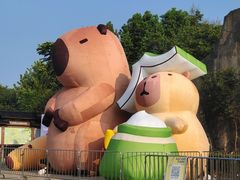 -合肥野生动物园