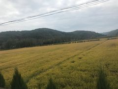 -南泥湾风景区