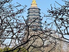 -红梅公园