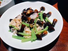 -CHIC1699远洋私厨