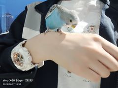 -怪兽屋·羊驼·猫咖·狗咖(俊华广场店)