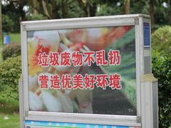 -金花茶公园
