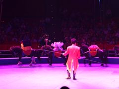 -珠海横琴长隆《卡卡虎奇遇记》