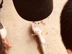 -三乐海鲜水饺馆