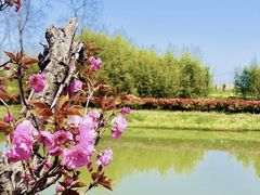-嘉北郊野公园