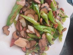 -蘑统田下·野生菌火锅