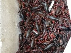 -北京清河镇农副产品交易市场中心