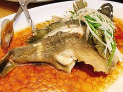-东舜赶海·胶东海鲜家常菜(奥体中心店)