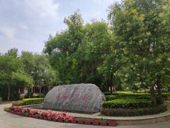 -杨柳青庄园