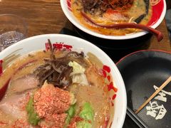 -豚王拉面(铜锣湾店 )