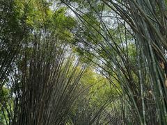 -望江楼公园