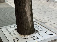 -西安碑林博物馆