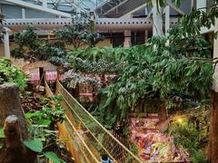 -正佳雨林生态植物园