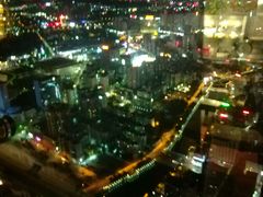 -虎门美思威尔顿酒店(海之光自助餐)