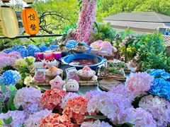 -王歘歘·chuǎ火锅(五道营店)