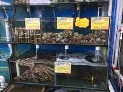 水产区-蚝专家(北滘店)