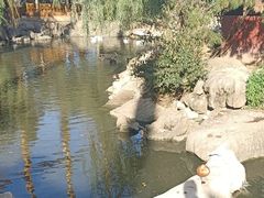 -临沂动植物园